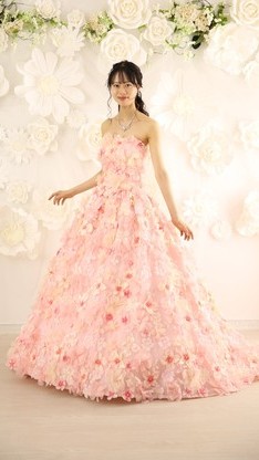 姫路市の成人式は、なえなのの振袖のイメージ