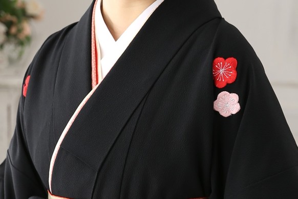 【卒業式袴レンタル】カンサイ kansai ブランド卒業式袴用着物-181 / 袴-黒