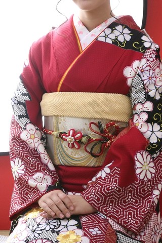 振袖-330 部分絞り 金彩 金駒刺繍 | 姫路の振袖 袴 ドレス レンタルは 