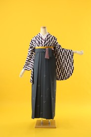 【卒業式袴レンタル】卒業式袴用着物-340 /袴-114