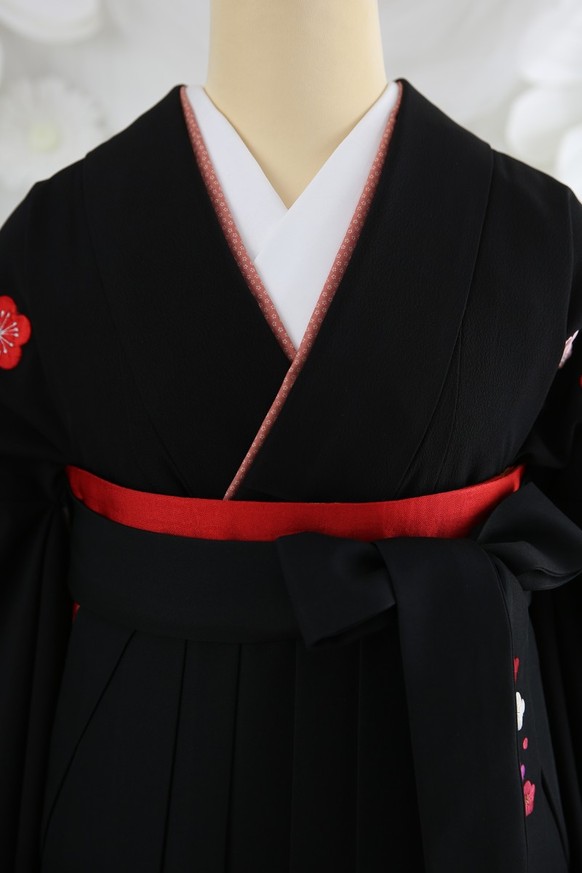【卒業式袴レンタル】卒業式袴用着物-181 / 袴-119　kansai