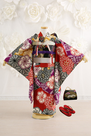 【七五三着物レンタル 7歳女の子七五三レンタル】七G7-50 【にこるんkids style】(帯・草履・バッグ七G7-26）